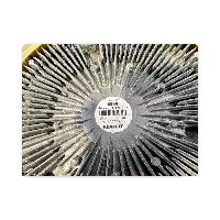 7420981231 Aušinimo ventiliatoriaus komplektas RENAULT TRUCKS 7420993866 7485013823 5010315993 7420880405 Premium, Premium 2 (1996-2014) RENAULT BEHR