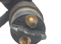 5010450532 Kuro purkštukas RENAULT TRUCKS 5001866639 Kerax, Midlum (1997-2014) RENAULT