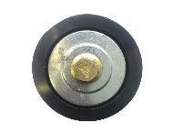 1796309 Rola de ghidare a curelei 41796309 - PACCAR