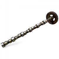 3950135 Kamaxel Camshaft SOLARIS 5283931 Urbino, Alpino, Vacanza (1999-)