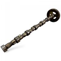 3950135 Kamaxel Camshaft SOLARIS 5283931 Urbino, Alpino, Vacanza (1999-)