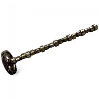 3950135 Kamaxel Camshaft SOLARIS 5283931 Urbino, Alpino, Vacanza (1999-)