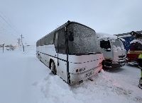 NEOPLAN 310hp (01.73-12.93) 12763cm3 225kw