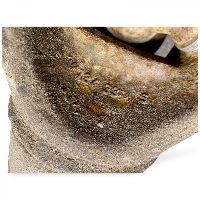 20949478 Drivaxel VOLVO FL, FE (2005-2014)