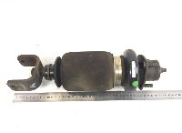 1349840 Kabinendruckfeder, hinten links SCANIA 1424231 1343100 1439197 1343127 1382827 1349844 4-series (1995-2006)