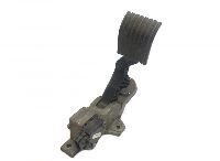 1376023 Pedală de accelerație cu senzor de poziție DAF 1601581 1879729 1737503 1879728 1959533 1376024 1742594 LF45, LF55, LF180, CF65, CF75, CF85 (2001-)